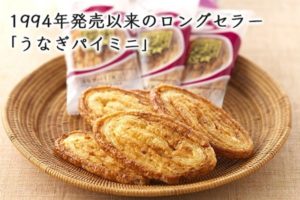 うなぎパイ 通販 訳アリ